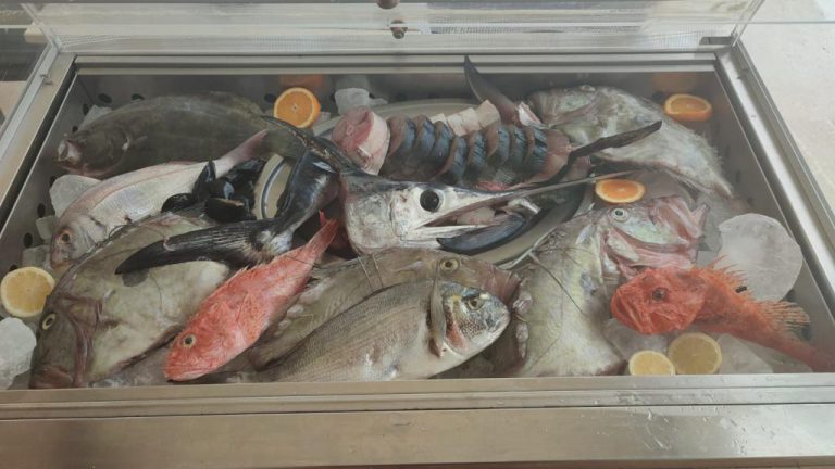 ristorante di pesce fresco rogoznica
